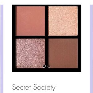 New•Illuminati Secret Society Eyeshadow Palette - Pink, Gold, Brown